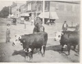 Jamestown, appx.1900